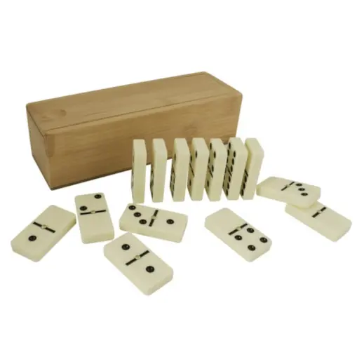 Double Six Dominoe Set 2025 Display